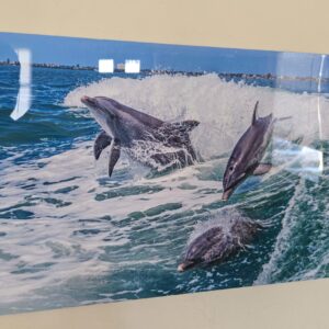 16x24 print 175 USD - 235 CAD