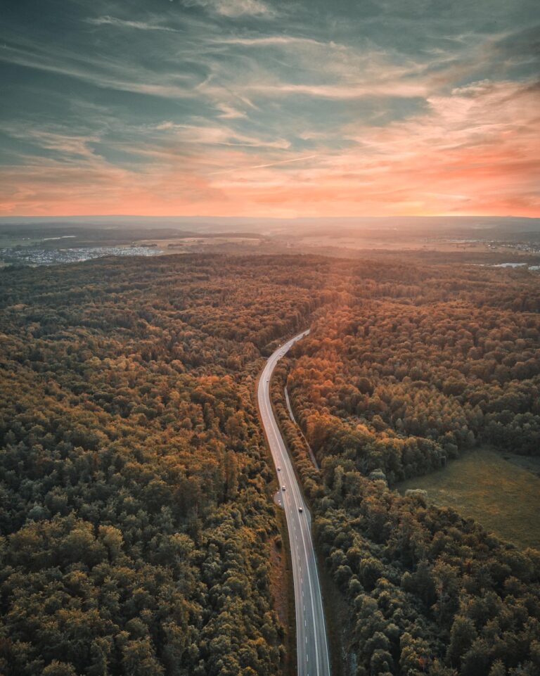 heaven, road, drone, nature, path, landscape, goal, clouds, horizon, bird's eye view, air, forest, trees, green, automobile, to travel, travel, fall, aerial, curves, phone wallpaper, aerial view, streets, perspective, aesthetic wallpaper, iphone wallpaper